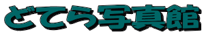 ǂĂʐ^